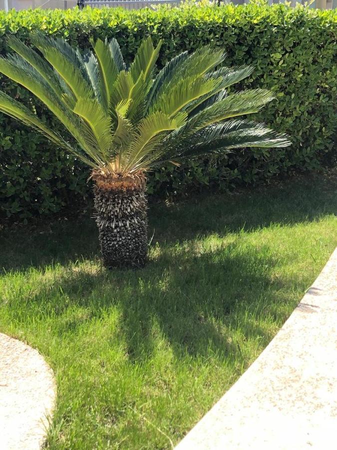 Appartamento L'Ulivo Brancaleone Marina Dış mekan fotoğraf
