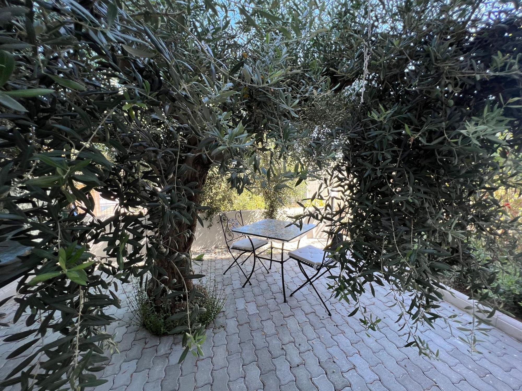 Appartamento L'Ulivo Brancaleone Marina Dış mekan fotoğraf